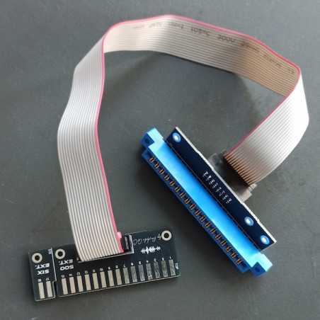 Module d'extension API 500 et 51X